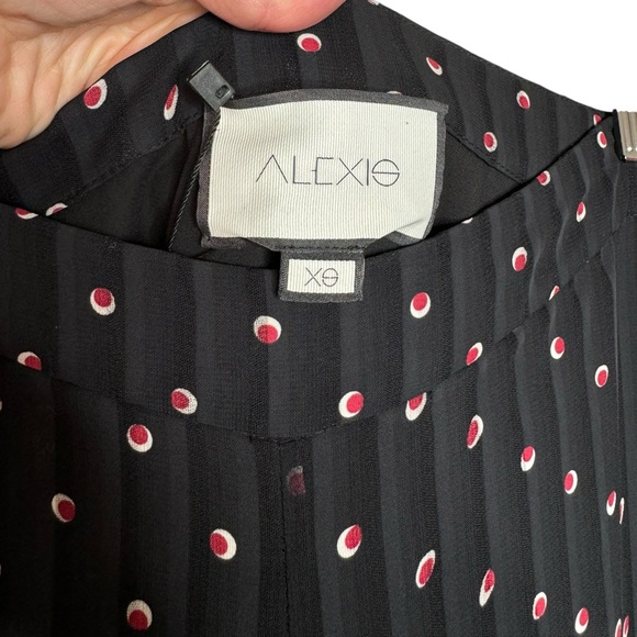 Alexis | Lanni Polka Dot Pleated Crepe-de-Chine
Wide Leg Pants XS - Picture 4 of 9